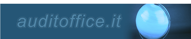 Revisione contabile e certificazione del bilancio, Advisory, Risk Service, Due diligence, D.Lgs. 231/01 e Modello Organizzativo, Privacy